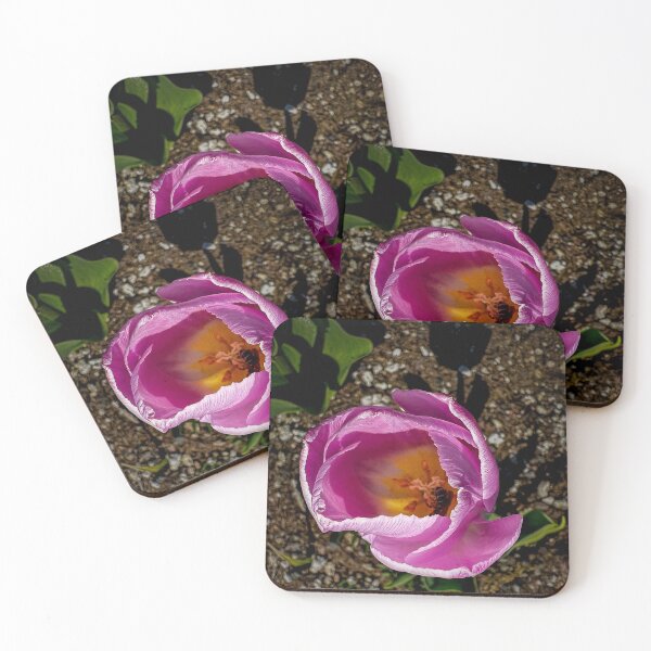 Item preview, Morning Rush designed and sold by Steve Walser.