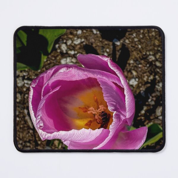 Item preview, Morning Rush designed and sold by Steve Walser.
