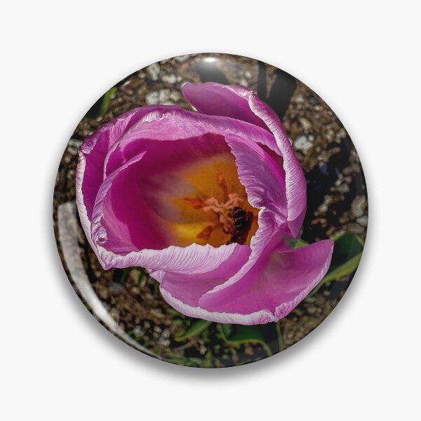 Item preview, Morning Rush designed and sold by Steve Walser.