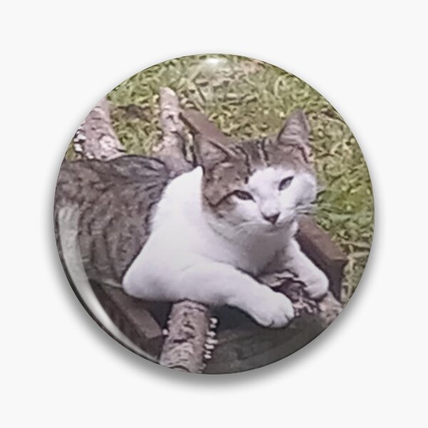 Item preview, Stray Cat on a Antique Heater designed and sold by trailsitravel.