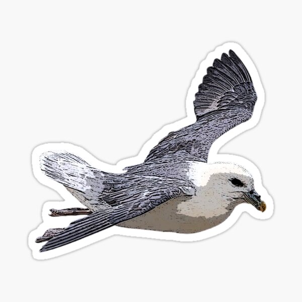 Item preview, Northern Fulmar Color Design  designed and sold by designsasstultd.