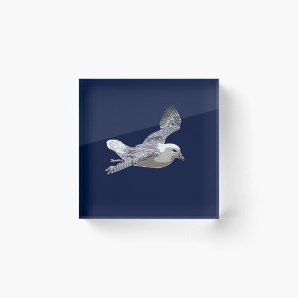 Item preview, Northern Fulmar White Alternate Design  designed and sold by designsasstultd.