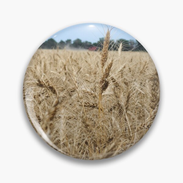Item preview, Wheat ready for Harvest designed and sold by MezukraHikari.