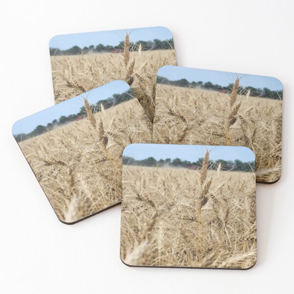 Item preview, Wheat ready for Harvest designed and sold by MezukraHikari.