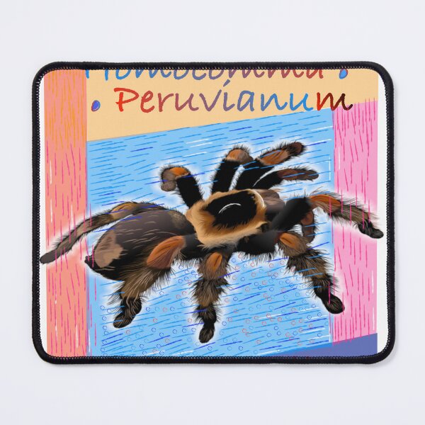 Item preview, Peru spider amazon exotic designed and sold by Masatitostores.
