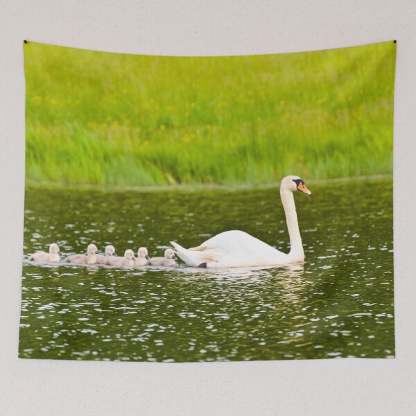 Item preview, Swan's Newborn Goslings Swimming  designed and sold by ginawaltersdorf.
