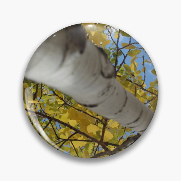 Item preview, Aspen designed and sold by vellocent.