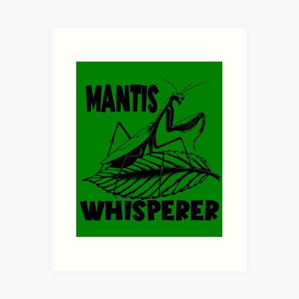 Item preview, Mantis Whisperer Entomologist Boys Praying Mantis Gear designed and sold by DynamicDesign.