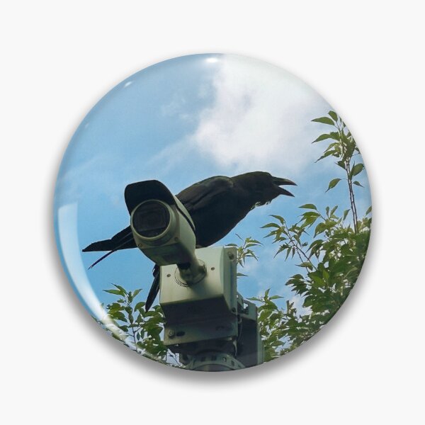 Item preview, Not A Pigeon But Close Enough designed and sold by Expired-Altoids.