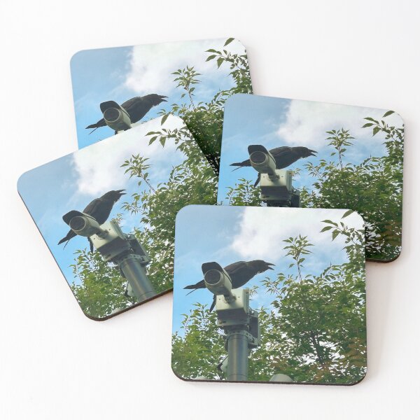Item preview, Not A Pigeon But Close Enough designed and sold by Expired-Altoids.