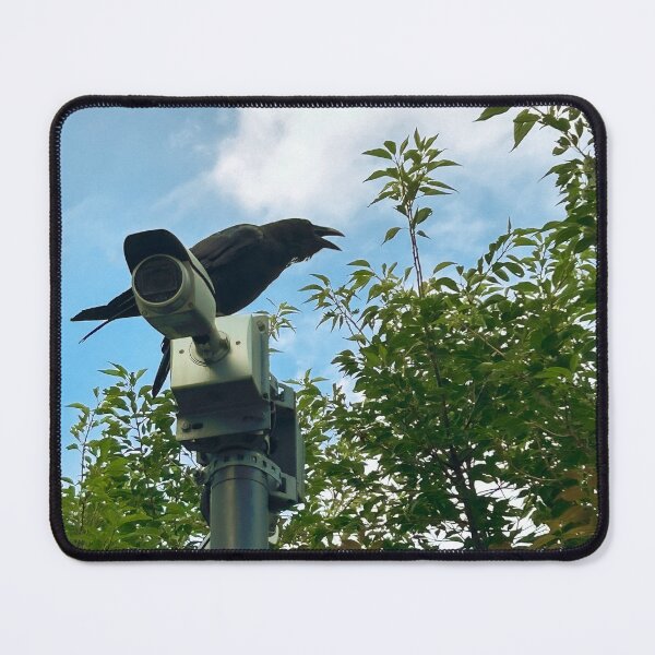 Item preview, Not A Pigeon But Close Enough designed and sold by Expired-Altoids.