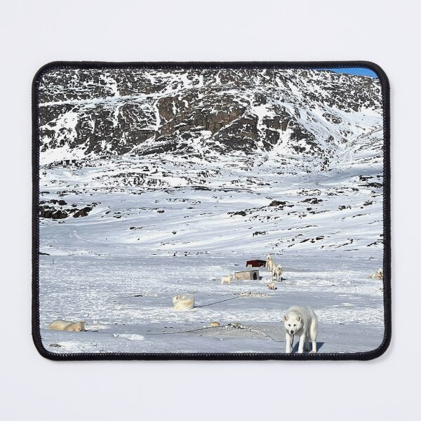 Item preview, Greenland Sisimiut Dog Town Arctic Landscape designed and sold by GraTEEtude.