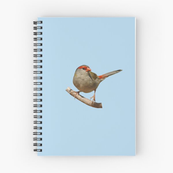 Item preview, Red-browed Finch 4 designed and sold by quentinjlang.
