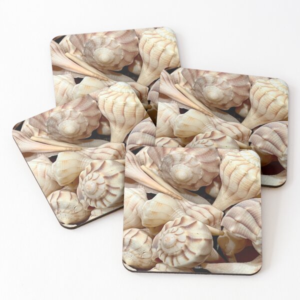 Item preview, Lightning Whelk Seashells designed and sold by Islandjunkie09.
