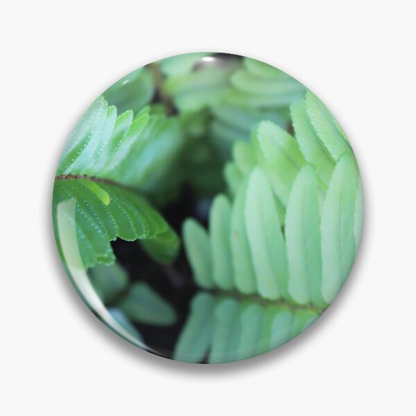 Item preview, Into the Darkness of the Fern designed and sold by Islandjunkie09.