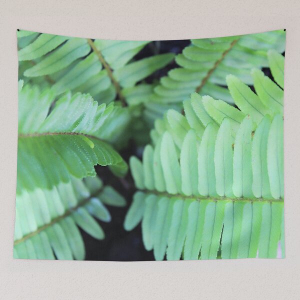 Item preview, Into the Darkness of the Fern designed and sold by Islandjunkie09.