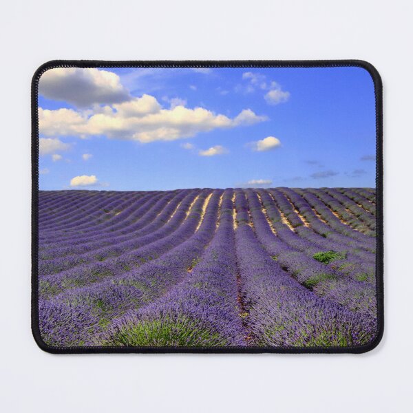 Item preview, Lavander designed and sold by annalisa56.