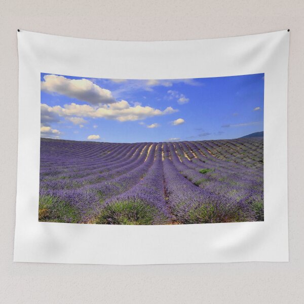 Item preview, Lavander designed and sold by annalisa56.