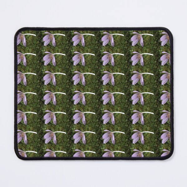 Item preview, Spring flower on the grass designed and sold by Kacharava.