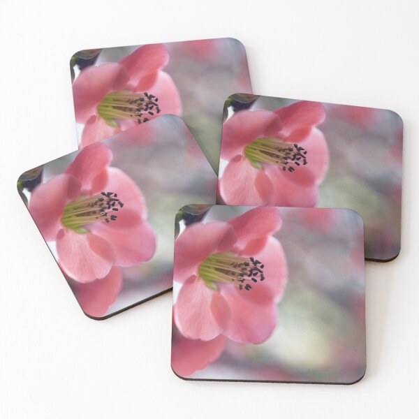 Item preview, Blossom in Bloom designed and sold by imaginethis.