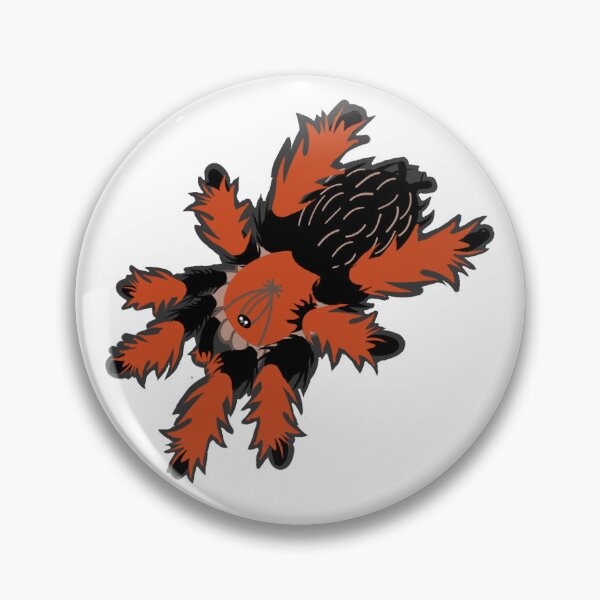 Item preview, Brachypelma Boehmei Graphic designed and sold by Mini-Mystic.