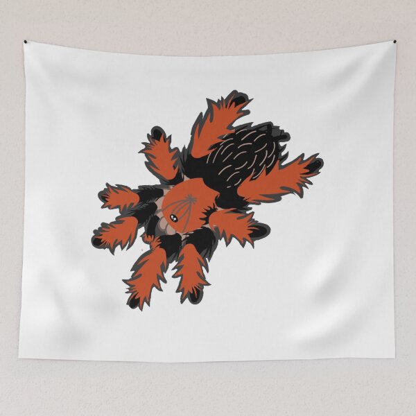 Item preview, Brachypelma Boehmei Graphic designed and sold by Mini-Mystic.