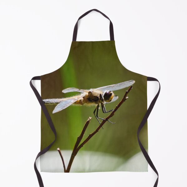 Item preview, Steady. Four-spotted chaser designed and sold by Jouko Lehto Photography.