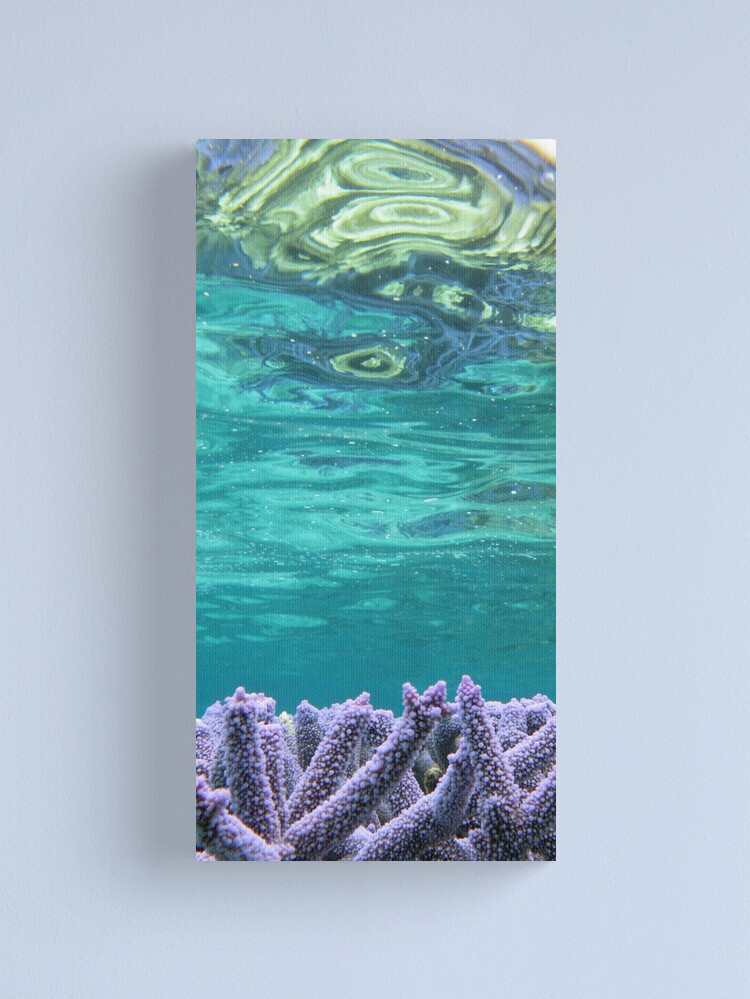 Alternate view of Coral Reeflections I Canvas Print