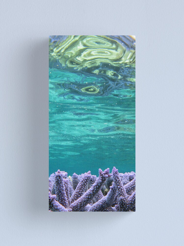 Alternate view of Coral Reeflections I Canvas Print