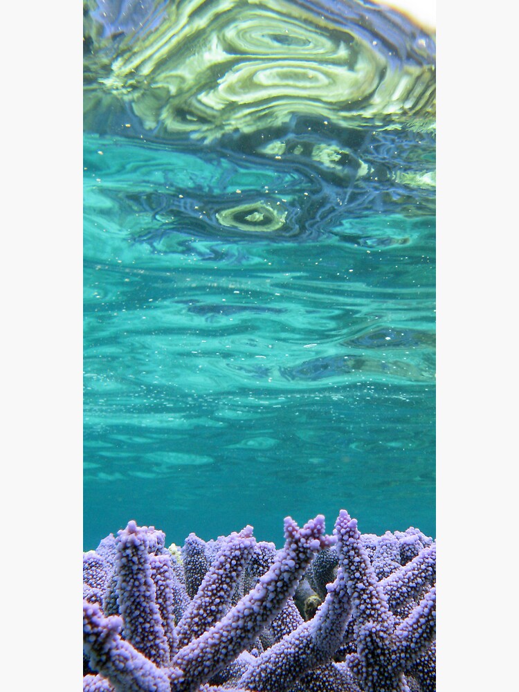 Coral Reeflections I by neoniphon