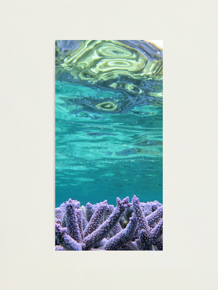 Alternate view of Coral Reeflections I Photographic Print
