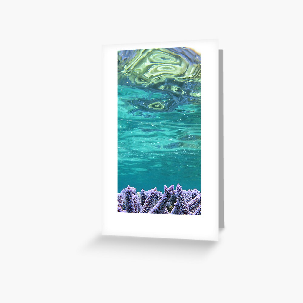 Coral Reeflections I Greeting Card