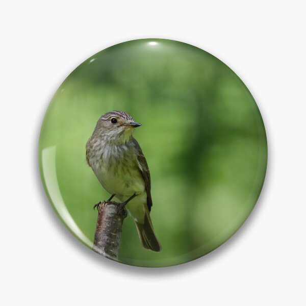 Item preview, Green world. Spotted Flycatcher designed and sold by Jouko Lehto Photography.