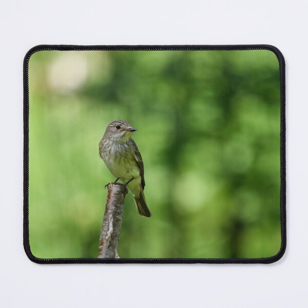 Item preview, Green world. Spotted Flycatcher designed and sold by Jouko Lehto Photography.