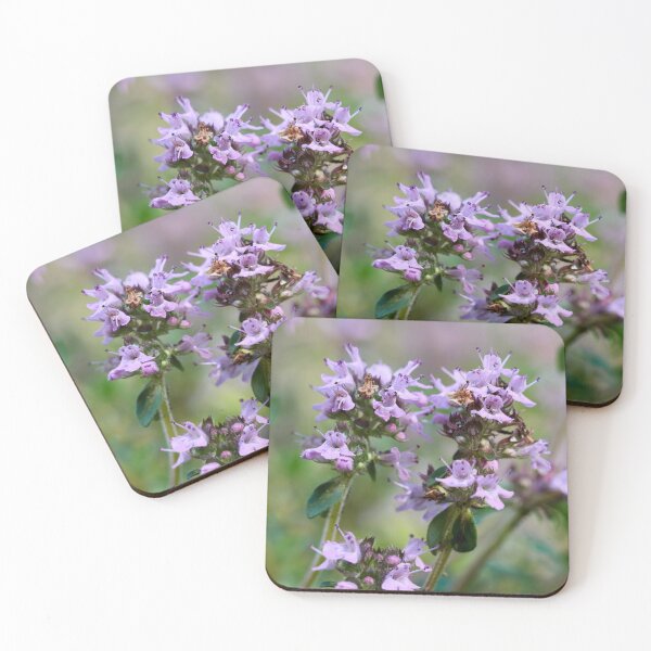 Item preview, Thyme. Breckland thyme designed and sold by Jouko Lehto Photography.