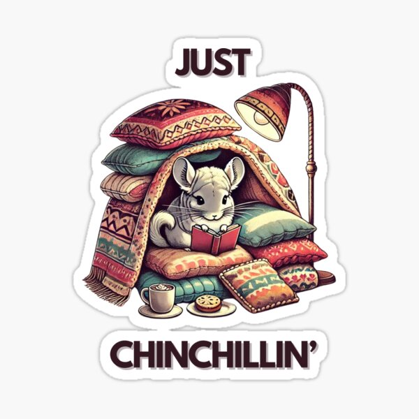 Bundle for deals ChinChillin'