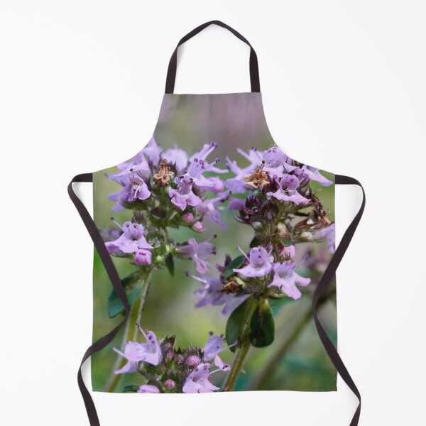 Item preview, Thyme. Breckland thyme designed and sold by Jouko Lehto Photography.