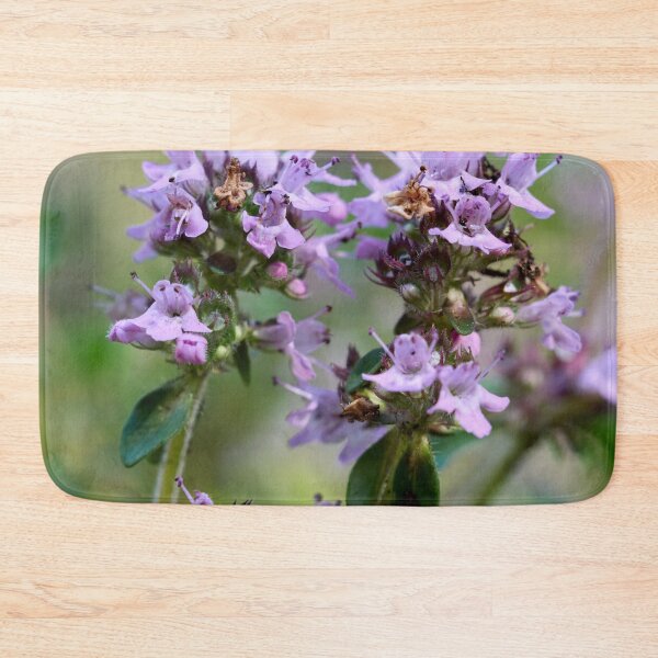 Item preview, Thyme. Breckland thyme designed and sold by Jouko Lehto Photography.