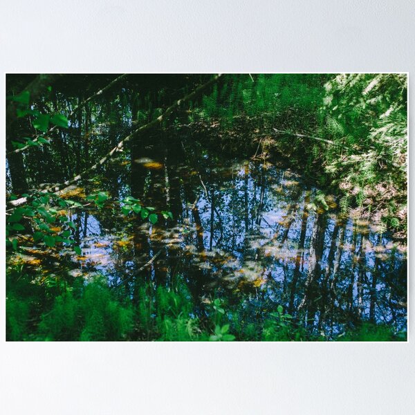 The Reflection of Green Poster