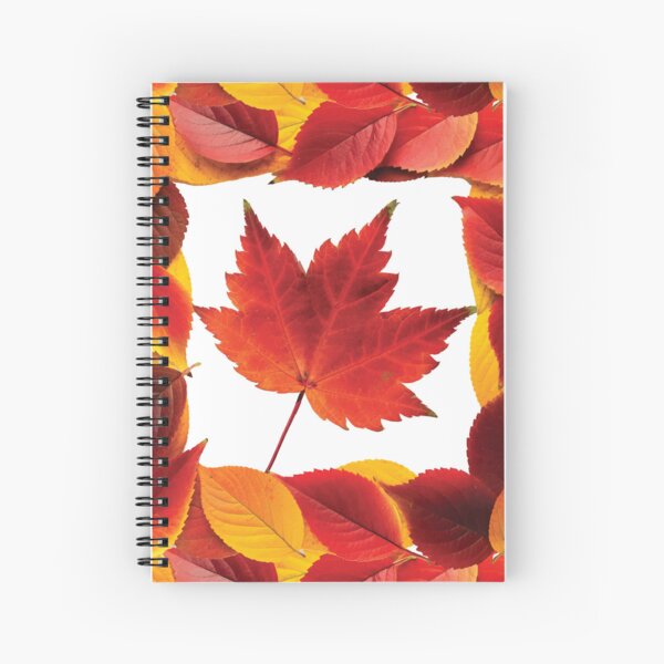 FALL PATTERN Spiral Notebook