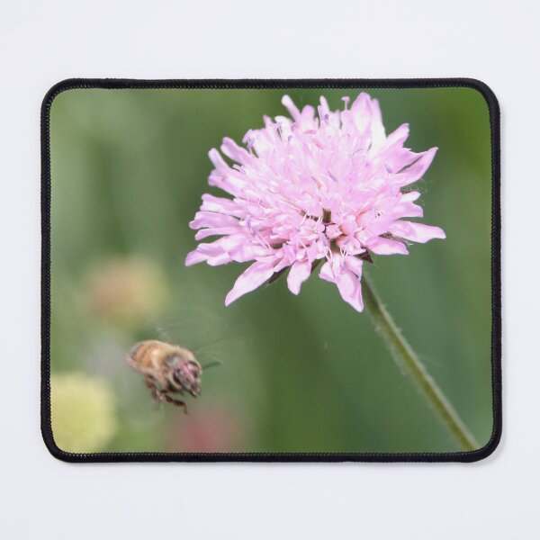 Item preview, Hi mr. Bee designed and sold by vellocent.