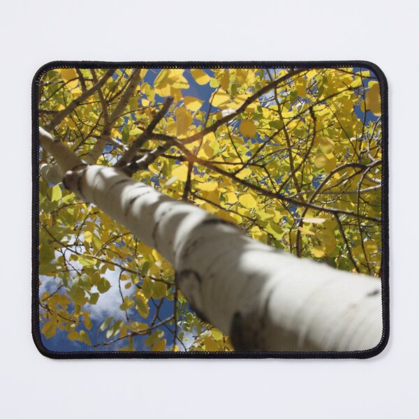 Item preview, Up the Aspen designed and sold by vellocent.