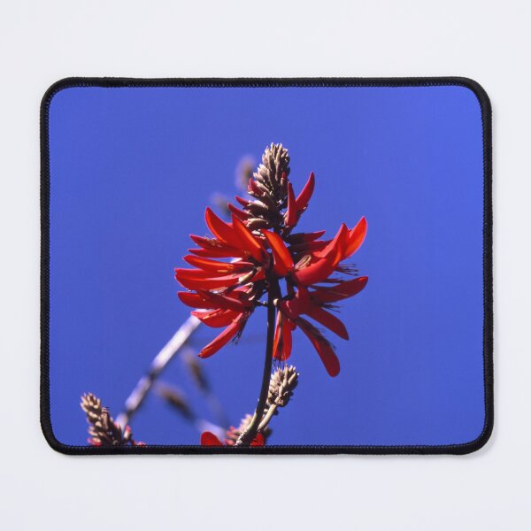 Item preview, Coral Tree designed and sold by Made-by-Gus.