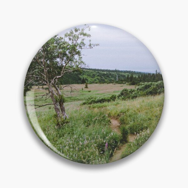 Will this Hike Ever End? Pin