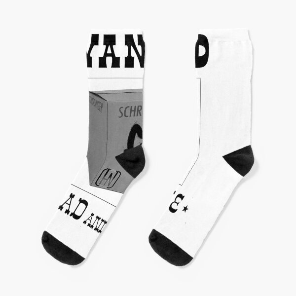 Schrodinger's Cat Wanted Socks