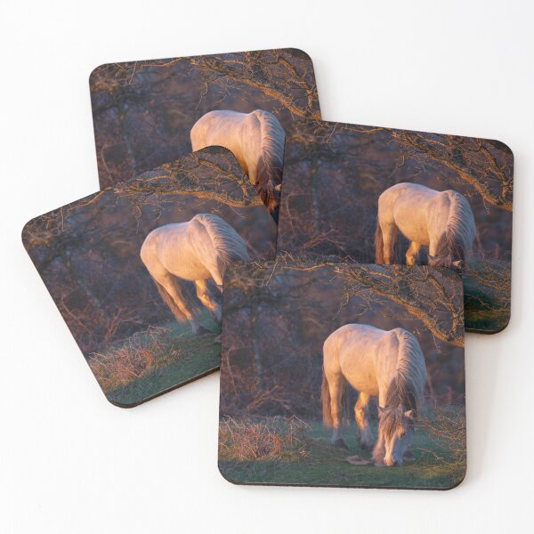 Item preview, A white horse in the sunset light designed and sold by elena-jeffries.