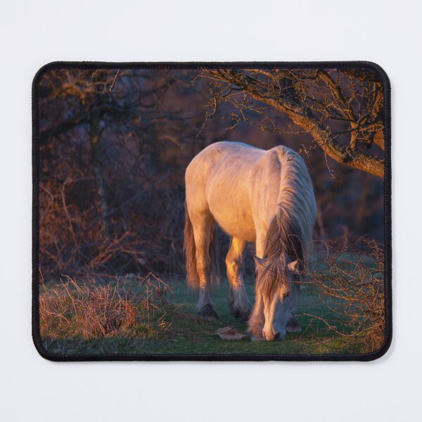 Item preview, A white horse in the sunset light designed and sold by elena-jeffries.