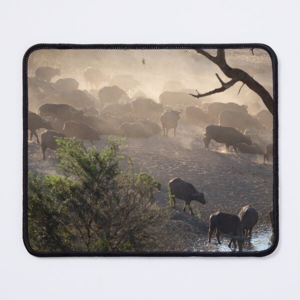 Item preview, African landscape designed and sold by elena-jeffries.