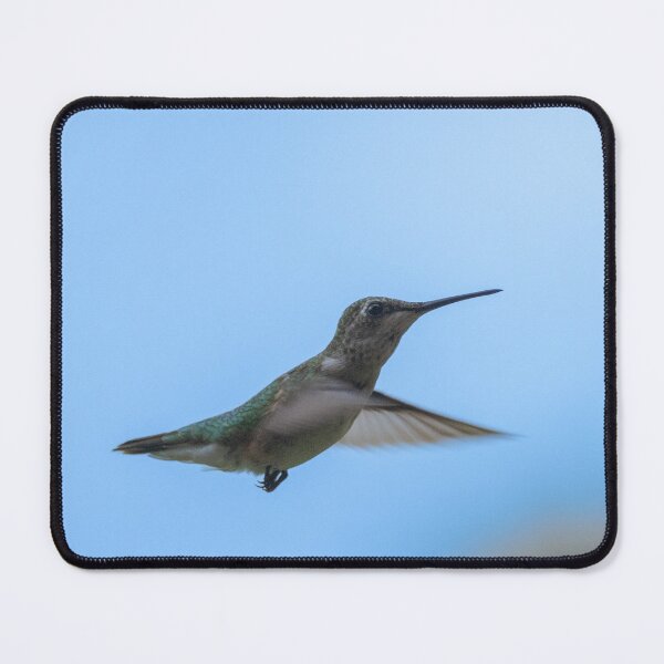 Item preview, Flight of Beauty, ruby-throated hummingbird designed and sold by BirdsBugsBeyond.