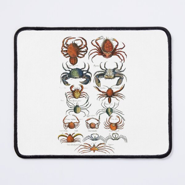 Item preview, Order Decapoda designed and sold by PatronesKawai.